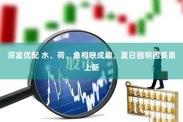 深富优配 水、荷、鱼相映成趣，夏日圆明园美景上新