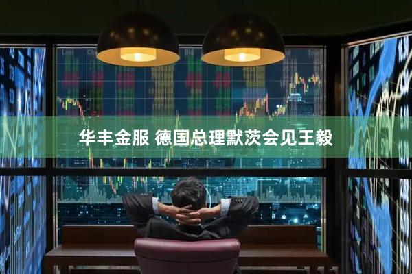 华丰金服 德国总理默茨会见王毅