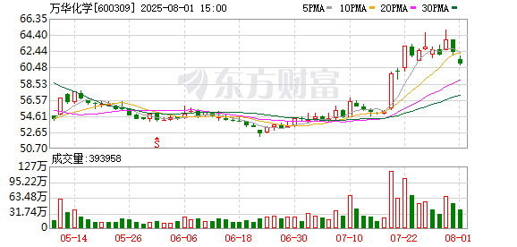 K图 600309_0