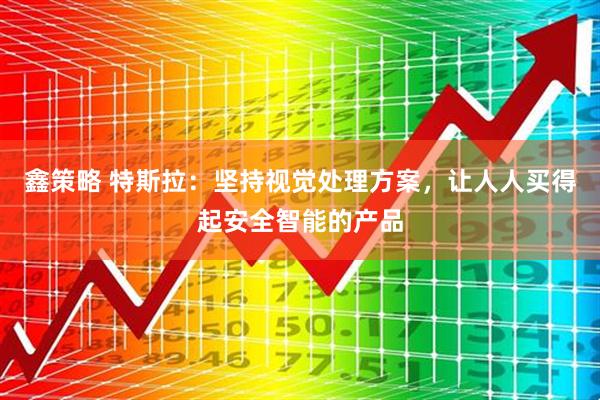 鑫策略 特斯拉：坚持视觉处理方案，让人人买得起安全智能的产品