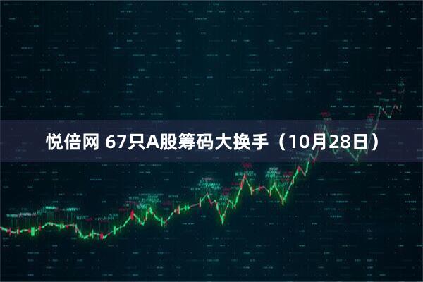 悦倍网 67只A股筹码大换手（10月28日）